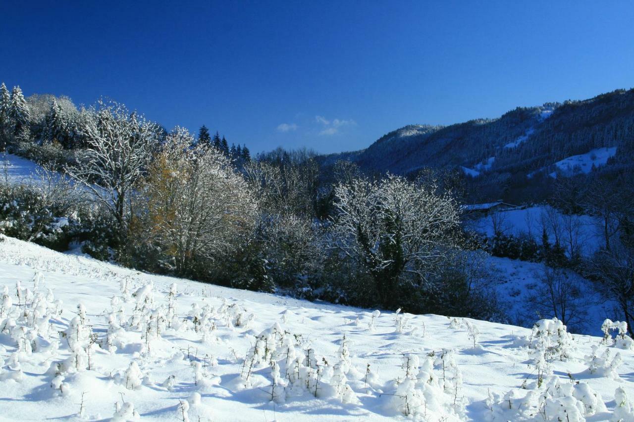 Au Coeur Du Lapidaire Septmoncel-Les-Molunes Ngoại thất bức ảnh